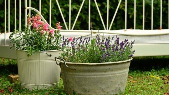 Les conseils essentiels pour préparer vos pots et seaux avant de planter