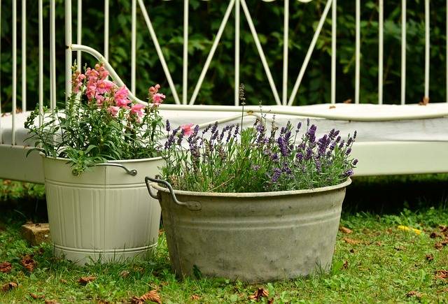 Les conseils essentiels pour préparer vos pots et seaux avant de planter