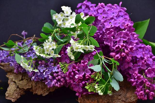 Diversifiez votre jardin avec des arbustes fleuris en printemps