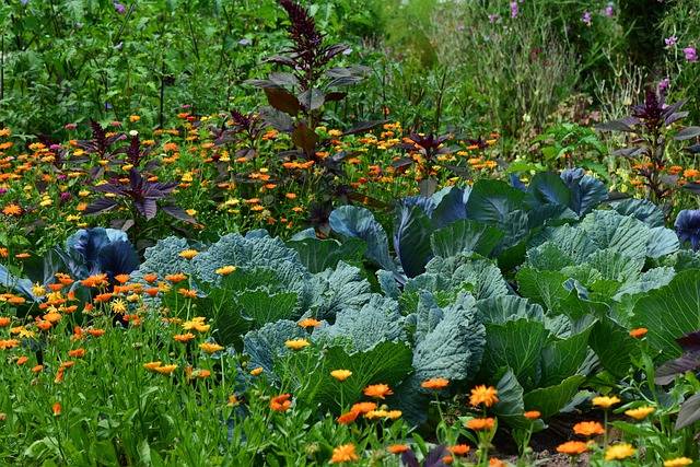 Cultiver des légumes faciles pour un jardin potager réussi