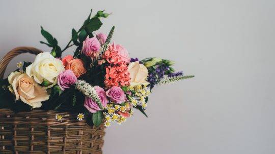 Les secrets d’une scénographie florale réussie pour des événements inoubliables